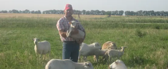 Jason Schmidt