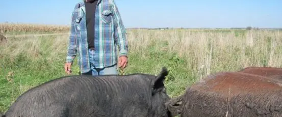 Tom Nuessmeier on Keeping the Land Productive