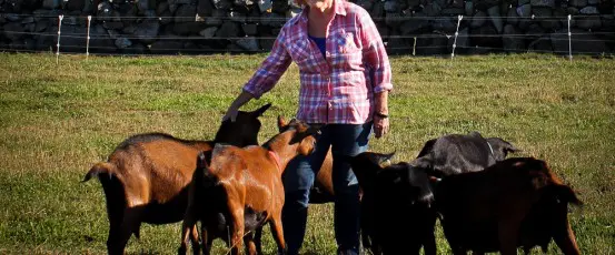 Chellie Pingree