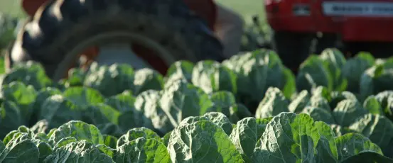 Farm Aid Congratulates Agriculture Secretary Tom Vilsack