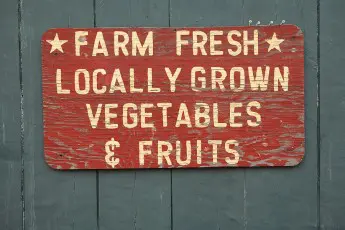 My CSA shut down, now where am I supposed to get my local food?
