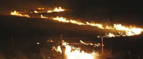 Devastating Wildfires Spur Farm Aid to Activate Family Farm Disaster Fund