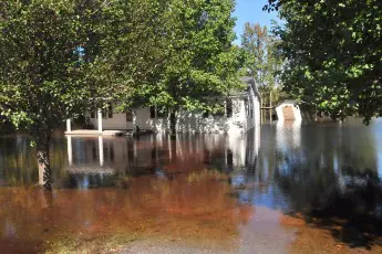 After the Flood, Gov. Haley is Leaving South Carolina Farmers High and Dry