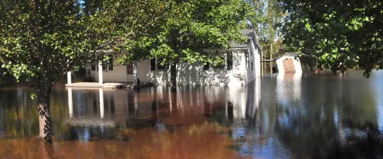 After the Flood, Gov. Haley is Leaving South Carolina Farmers High and Dry