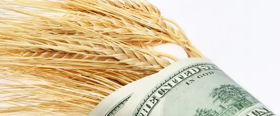 Corporate power and the food we eat