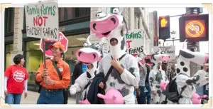 HOMEPAGE-FFD_PROTEST_PHOTO_BY_PAUL_NATKIN