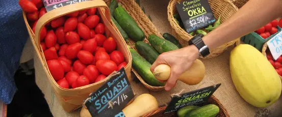 A New Farm Economy Rises from Tobacco’s Ashes