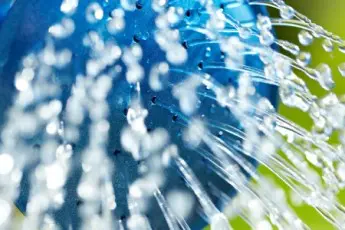 Victory for Vermont’s GMO labeling law & other news