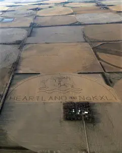 A crop art image protesting the proposed Keystone XL pipeline covers an 80 acre corn field on Art's farm. (Photo by Lou Dematteis and Bold Nebraska)