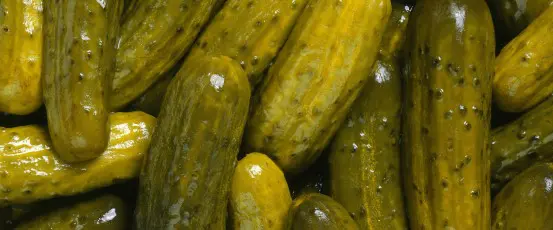The power of the pickle, Imperfect produce & Other news
