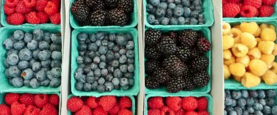Eating Locally in Season