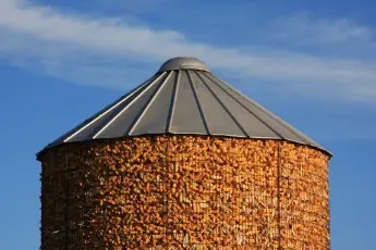 Protect our Right to Know: Stop the “DARK Act”!