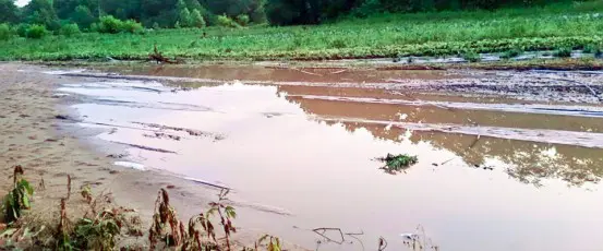Farm Aid responds to devastating floods in Illinois