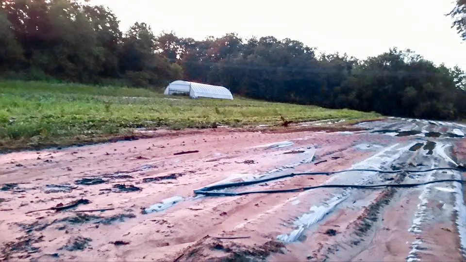 Photo sent by Illinois farm after flooding