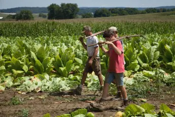 Help spread the word: Community Food Project grants now available