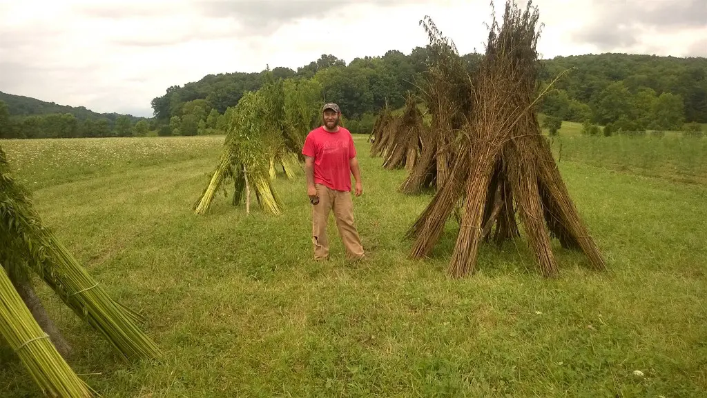 Mike Lewis by Tayler Glover