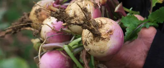 Family Farmers Fighting Climate Change