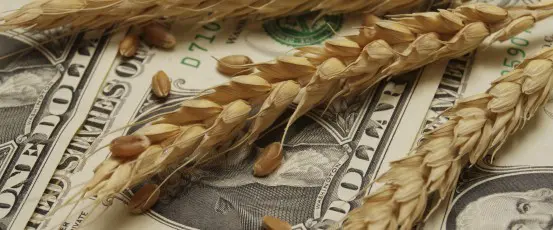 Fair & Competitive Markets for Family Farmers & Our Food