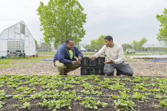 Making Change for Family Farmers: Our Grantees 6 Months In