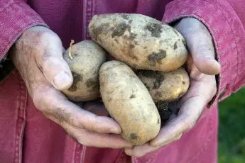 Celebrating Your Farmer Heroes