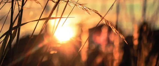 New Guide Helps Farmers Navigate Farm Service Agency Programs