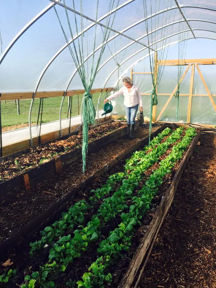 woman in greenhouse