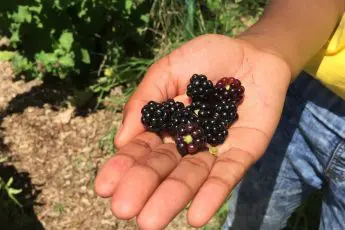 Give Hope and a Hand to Farmers