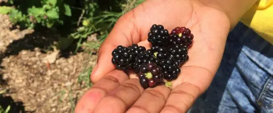 Give Hope and a Hand to Farmers