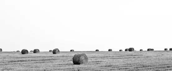 Why are America’s farmers killing themselves in record numbers?