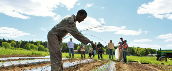 New Minnesotan Farmers: Stories of Immigrants on the Land