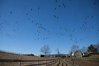 The bipartisan STRESS Act: Supporting farmers’ mental health