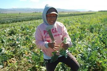 “Little by little is how you grow” – Learning to Farm in California