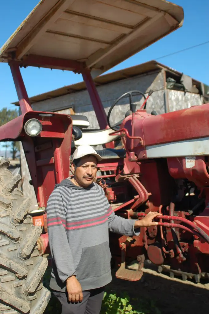 Luis Silva ALBA Farmer