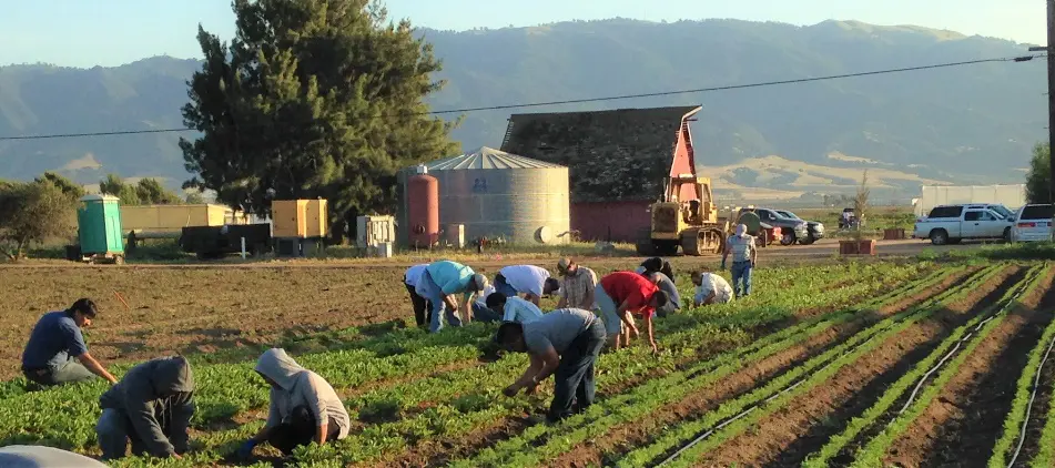 Trainees at ALBA's Rural Development Center