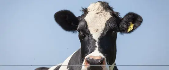 This farmer’s email is what keeps us going