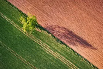 Take Action: Our last chance to shape the Farm Bill!