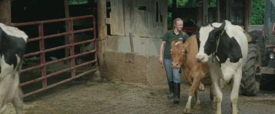Dairy Farming in Connecticut