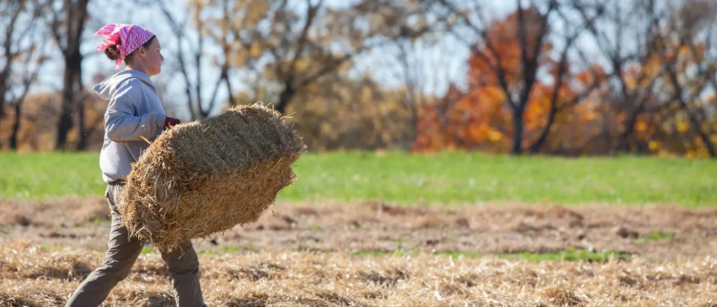 woman carrying hay bale