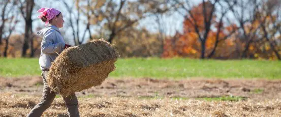 Your Connecticut Farmer Heroes Inspire Us