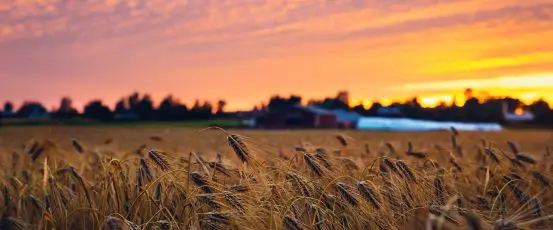 The Government Shutdown Risks Shutting Down Family Farms