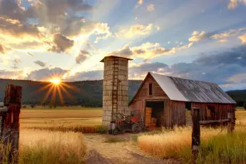 Join me in fighting for family farmers