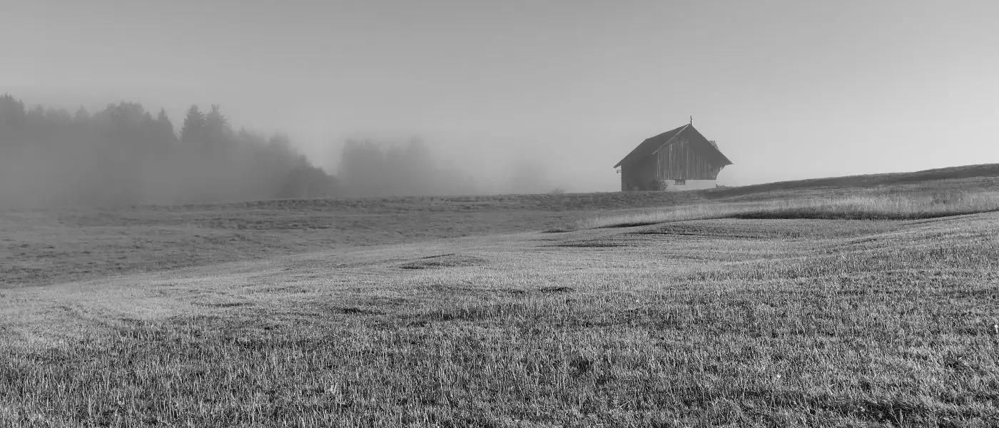 black and white barn and field