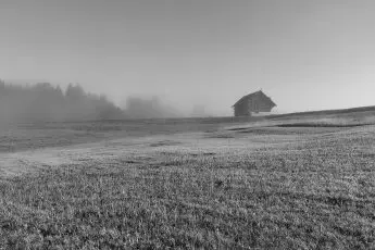 Farm Aid featured on podcast about farmer mental health