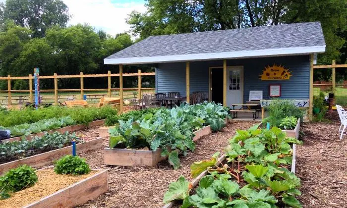 Grow It Forward's community garden.