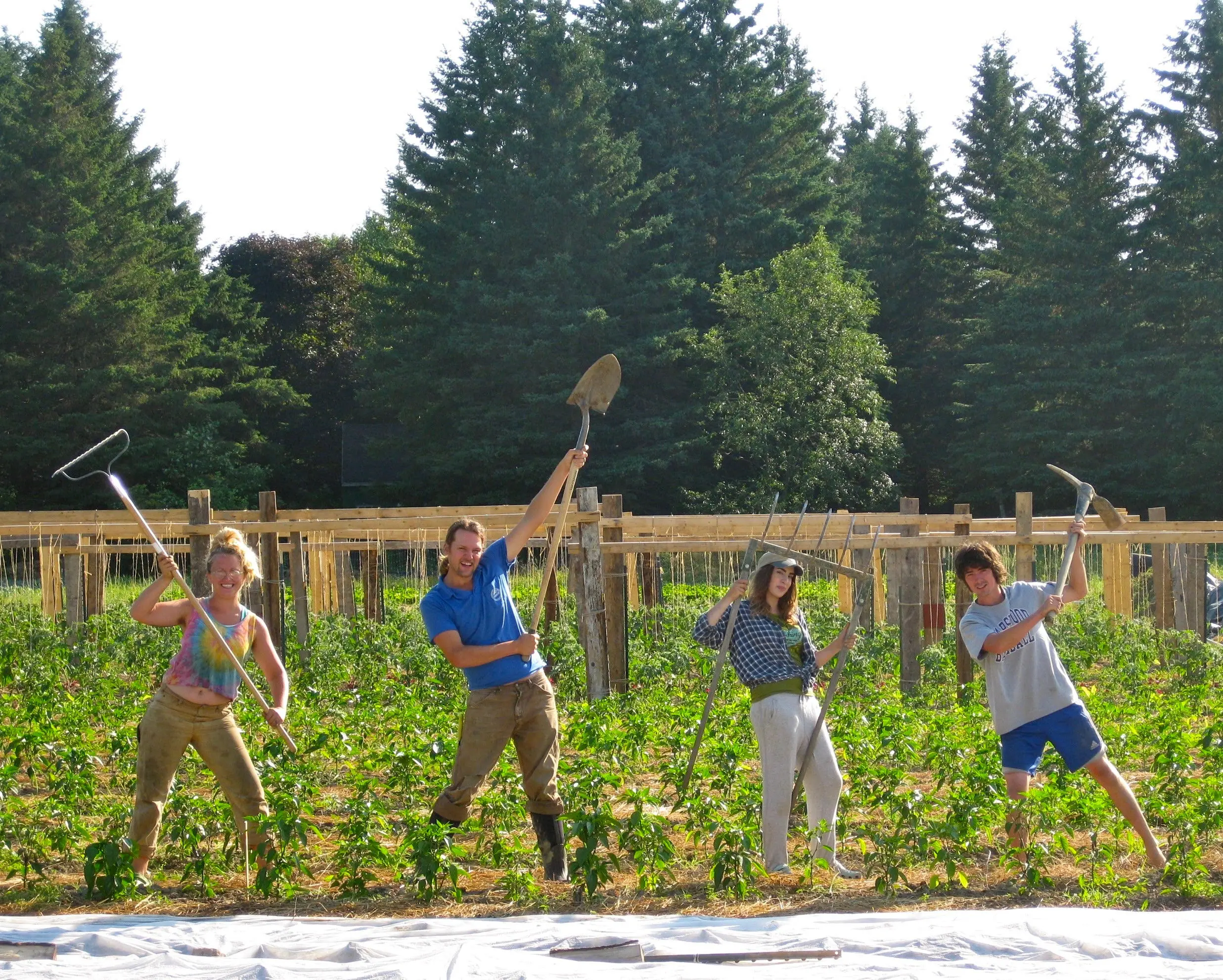 Apprentice Kate Harris with rake, manager Jon Ault with shovel, and apprentices Brenna Peak and Jim Church at Longmeadow Farm.
