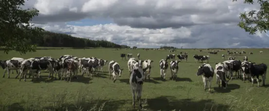 Dear Secretary Perdue: We’re better than big.