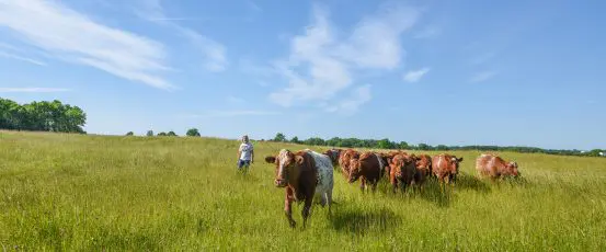 Lynn Utesch: A Guardian of the Field and Water