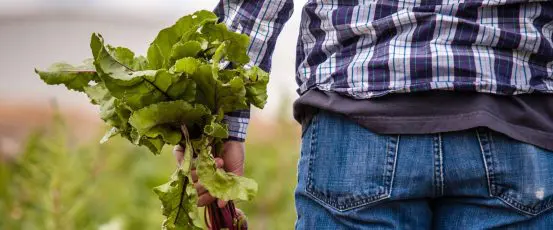 Let’s Show Family Farmers How Much We Need Them