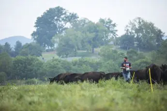 The Agriculture Resilience Act Offers Farmers Climate Change Solutions