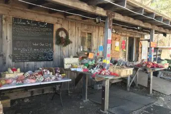 How will COVID-19 Affect My Local Farmers and Food?